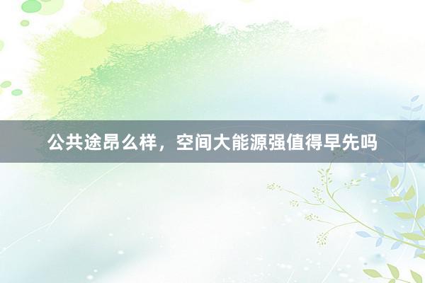 公共途昂么样，空间大能源强值得早先吗